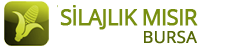 Silajlık Mısır